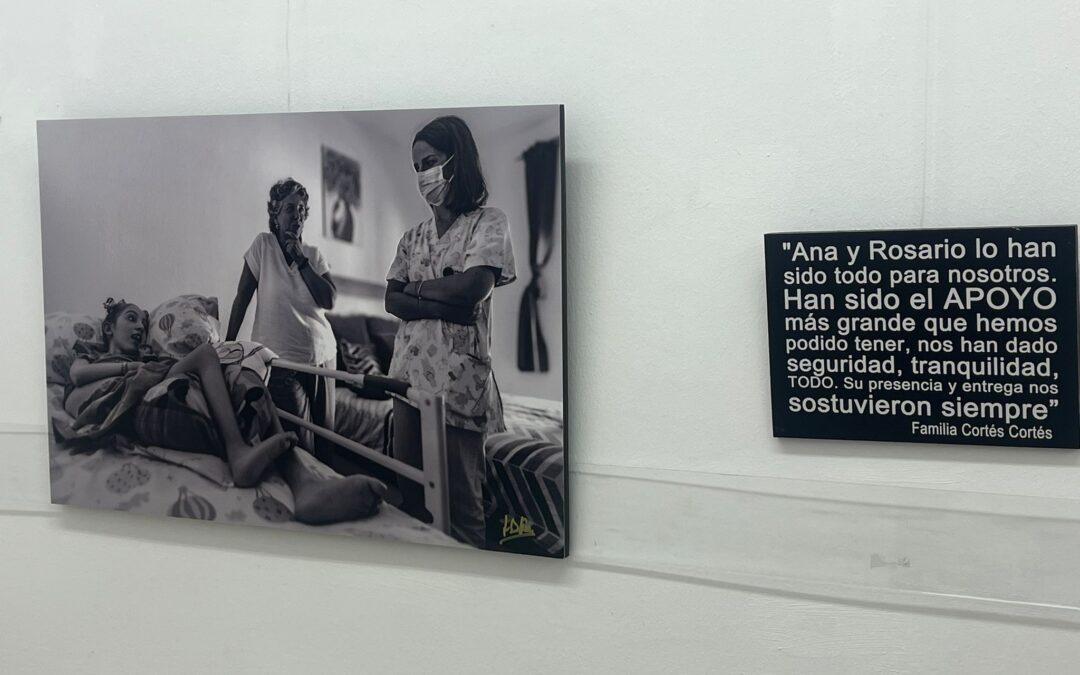 El Concurso Internacional de Pintura ‘Cerezo Moreno’ abre el plazo de presentación de obras hasta el 1 de agosto